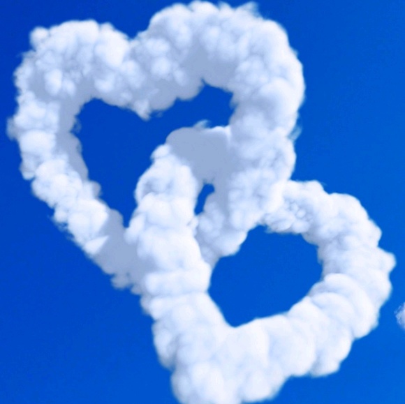 Meet your Posher, Anne - Picture 1 of 1